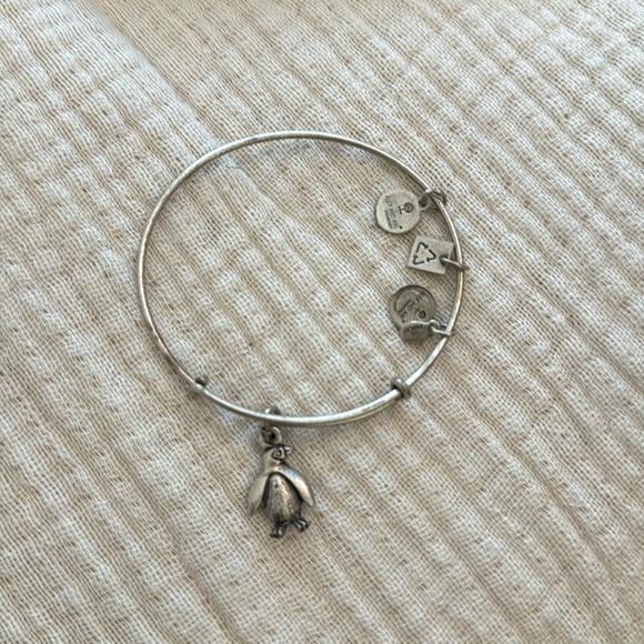 Alex and Ani Jewelry Alex And Ani Penguin Bracelet Poshmark